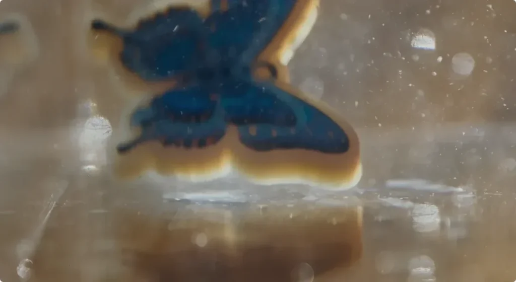 水に浸けた蝶の造形物
